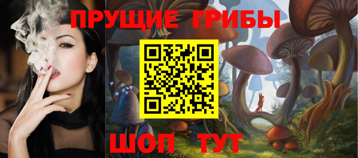 Псилоцибиновые грибы Cubensis  где продают   Кемерово  Вход с VPN 